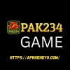 PAK234 GAME LOGO